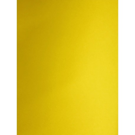 MICROPOROSO EVADUR LISO COLORES 10MM 54X90