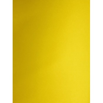 MICROPOROSO EVADUR LISO COLORES 10MM 54X90
