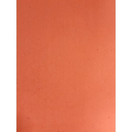 MICROPOROSO EVADUR LISO COLORES 10MM 54X90