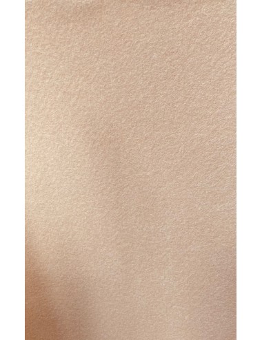 PLANCHA PARA PLANTAS PLANTEX FIELTRO 2MM