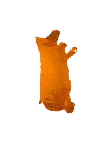 PIEL VAQUETA ENGR AT CLARA 1.5 -550 (PIEL 16-17 PIES)