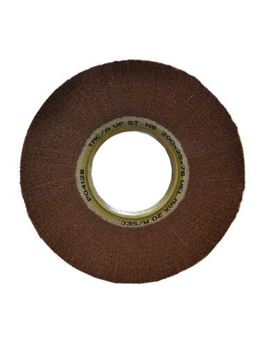 TEMECA DISCO PULIR FIBRA SCOTCH 200*50*76 REF.224-1
