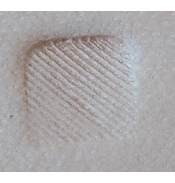GRABADORES CUERO STAMP B202 L (UNIDAD)