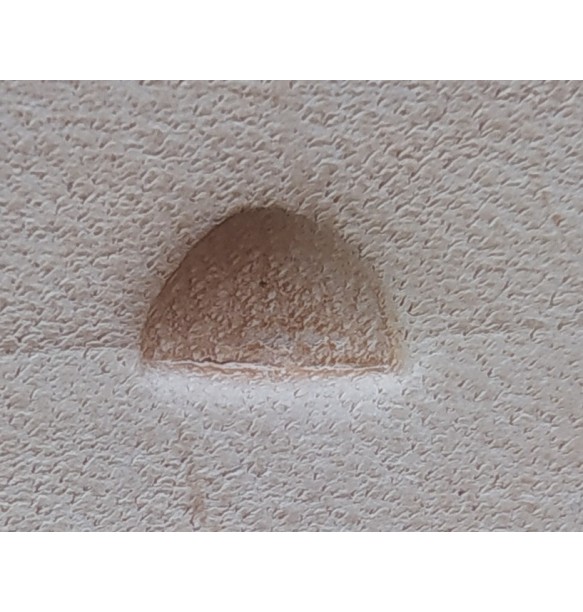GRABADORES CUERO STAMP F895 (UNIDAD)