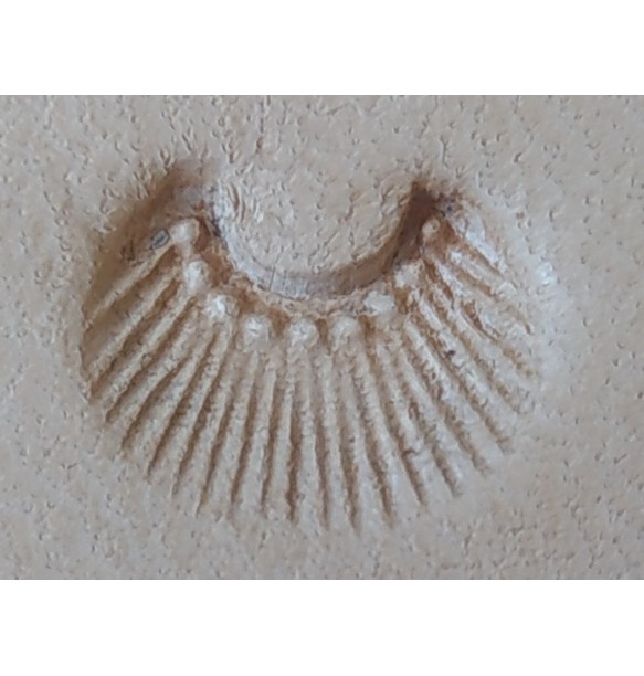 GRABADORES CUERO STAMP N720 (UNIDAD)