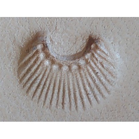 GRABADORES CUERO STAMP N720 (UNIDAD)