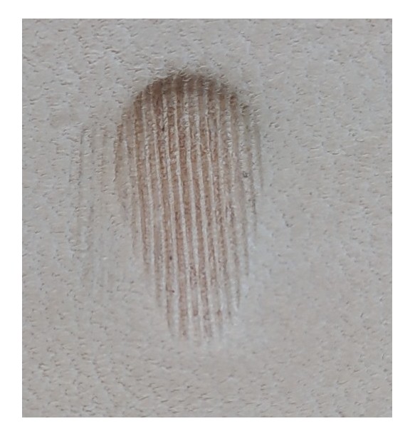 GRABADORES CUERO STAMP P209 (UNIDAD)