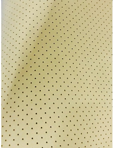 PLANCHA EVA PERFORADO 4 MM. 200*100