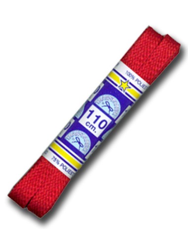 CORDONES TRANSPARENT PLANO/110