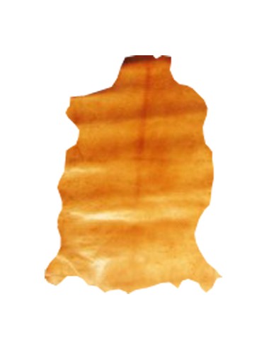 PIEL BADANA AVELLANA BRILLO CAÑA-369- (PIES)