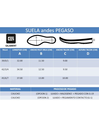 PISO ANDES PEGASO TRAIL (PAR)