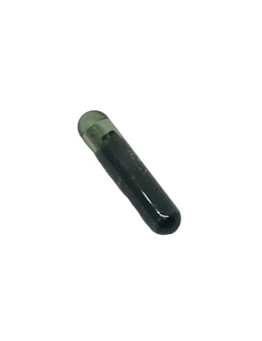 TRANSPONDER KEYLINE GKM (ID48)